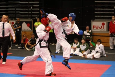 Korean Karate Taekwondo Martial Art, Mohali