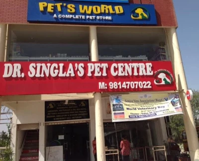Animal care center chandigarh