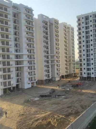 Chardikala Property