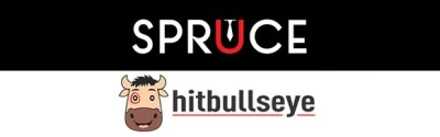 Bulls Eye Knowledge System Pvt. Ltd, Yamunanagar