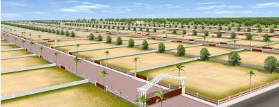 Asham plywood, Parwanoo