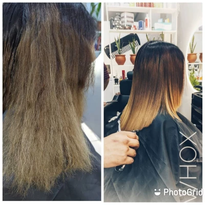 Whox Salon