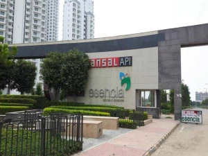 Gallery Image 2