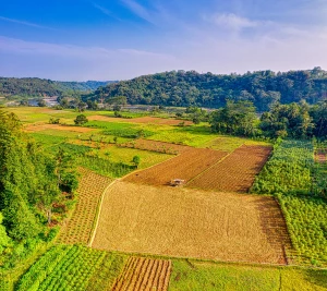 Shokeen Farms Pvt Ltd