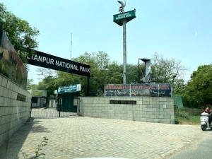 National Environment