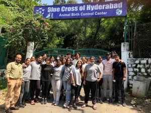 Blue Cross of Hyderabad