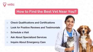 Vetic Pet Clinic HITEC City