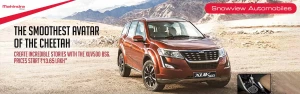 Snowview Automobiles