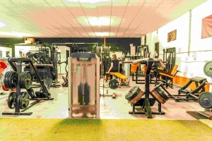 Gallery Image 1