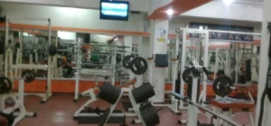 Gallery Image 2