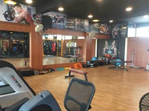 Gallery Image 1