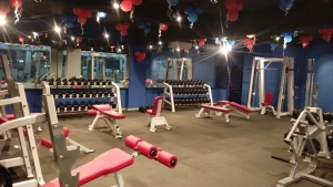 Gallery Image 2