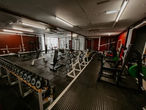 Gallery Image 3