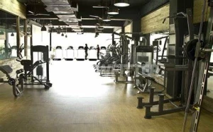 Gallery Image 1