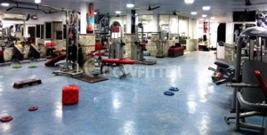Gallery Image 1