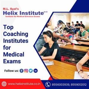 Helix Institute, Chandigarh logo