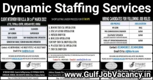 Dynamic Staffing Services Private Limited logo