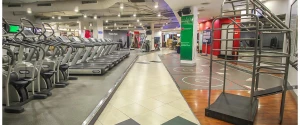 Fitness First, Platinum, Palladium logo