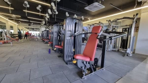 MLC GYM N SPA logo