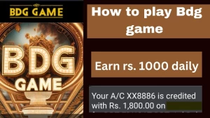 Bdg Game Zone, Allahabad logo