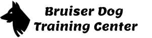 Bruiser Dog Training Center, Chandigarh logo