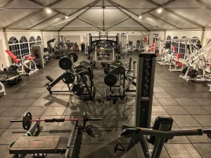 Iron Paradise Gym logo