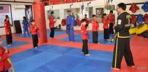 Everest Martial Arts Academy, Zirakpur logo