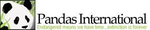 Yellowbird Immigration, Delhi, India. 782 likes · 6 talking about this. Best immigration consultant for PR, Study Abroad,, Janakpuri, Delhi logo