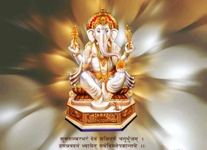 Vinayak Astro logo