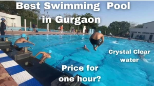 Huda Gymkhana Club Swimming Pool, Gurgaon logo