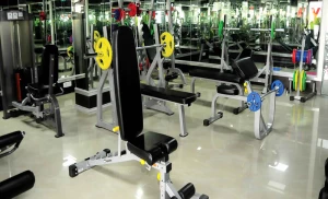 Lion Heart Gym logo