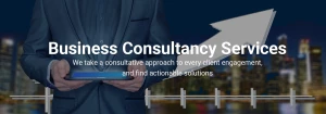 ACE Consultancy logo