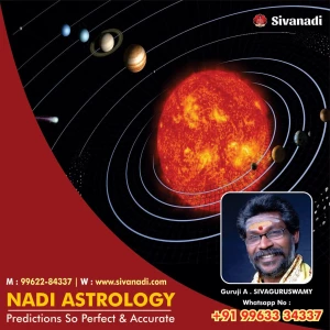 Shri Koushika Nadi Astrology Centre logo