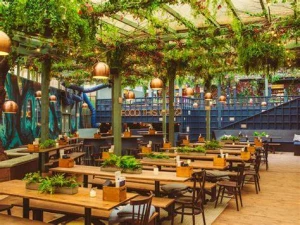 The Beer Garden, Yamunanagar logo