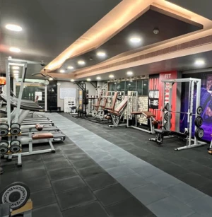 The Hindustan Gym, Delhi logo