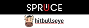 Bulls Eye Knowledge System Pvt. Ltd, Yamunanagar logo