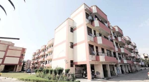 cozy nest, Chandigarh logo