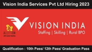 Vision India Services Private Limited, Chandigarh logo