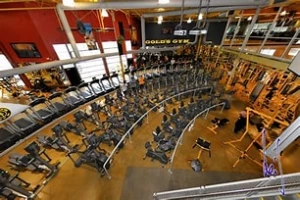 Gold,s gym logo