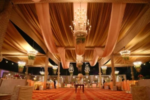 The Panache Events, Phaser-8, Mohali logo