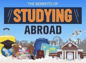 The Overseas Study, Lohia nagar, Ghaziabad logo