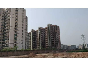 Chandigarh Dwellings and Land Promoters Pvt Ltd logo