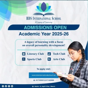 Bds International School logo