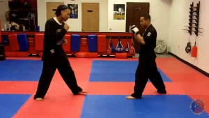 Dragon Martial Arts Academy, faridabad logo