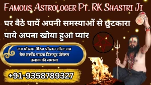 Best Astrologer Guru Ronak Shastri Ji logo