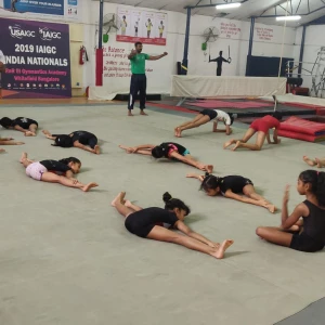 Functional Fitness Group Pvt Ltd in Chandigarh logo