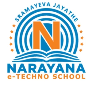 Naryana e-Techno School, Sector-119, Mohgali logo