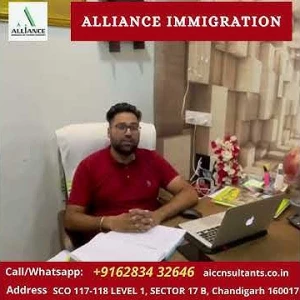 Alliance Immigration and Citizenship Consultants, Chandigarh logo