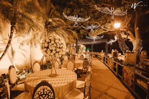 DreamzKrraft-Wedding Decorators&Planners logo
