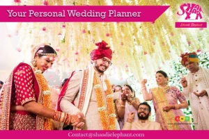 Bigindianshaadi – Wedding Planners India, Sunny enclave, Kharar logo
